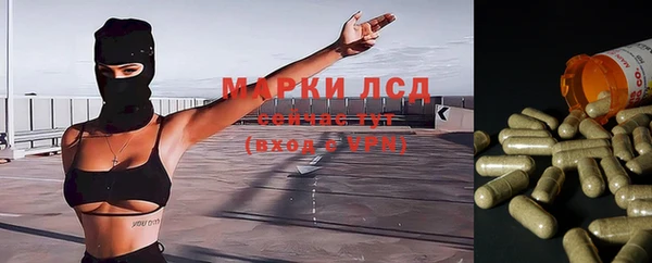 ПСИЛОЦИБИНОВЫЕ ГРИБЫ Алзамай