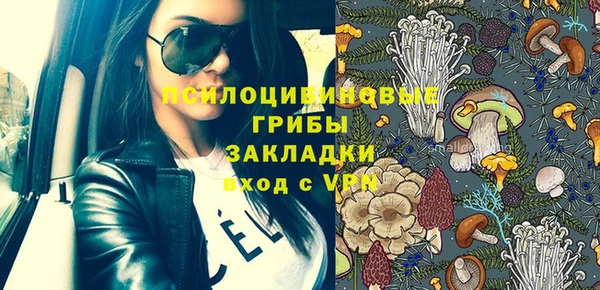 ПСИЛОЦИБИНОВЫЕ ГРИБЫ Алзамай