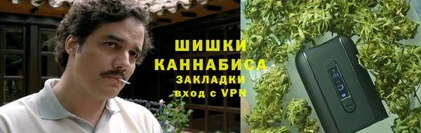 ГАЛЛЮЦИНОГЕННЫЕ ГРИБЫ Михайлов