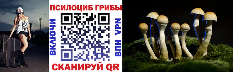 Псилоцибиновые грибы Cubensis цена kraken рабочий сайт Тула