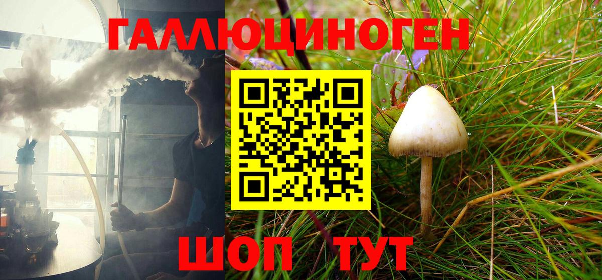 Галлюциногенные грибы Psilocybe Тула