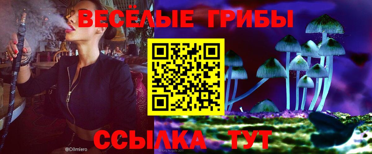Псилоцибиновые грибы Psilocybine cubensis  Галлюциногенные грибы мицелий  Вход с VPN  купить наркоту  Тула 