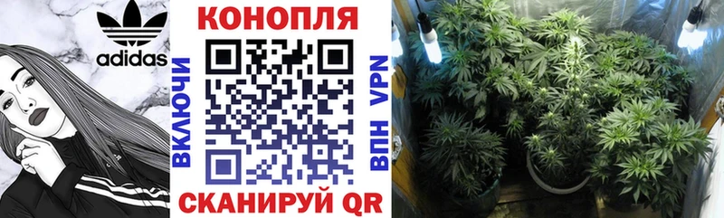 Бошки марихуана White Widow Тула